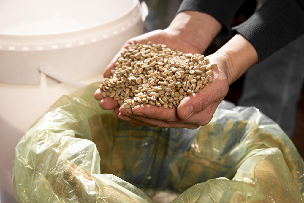 ruki-krupnym-planom-derza-fasol.jpg ruki-krupnym-planom-derza-fasol.jpg